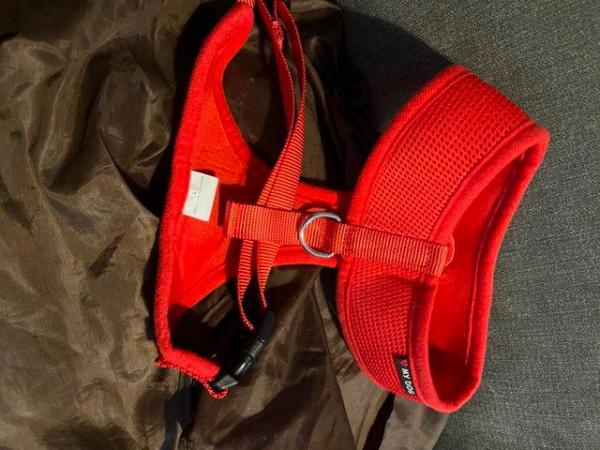 Image 5 of Dog harness I have in several different colours in Large