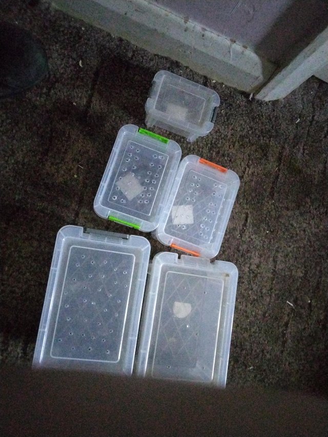 Preview of the first image of Assortedplastictubs ideal for tarantulas.
