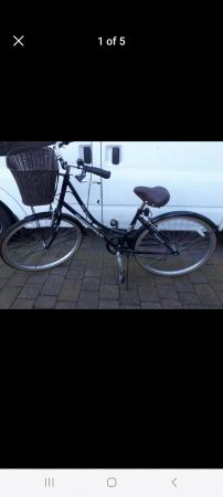 Image 3 of Ammaco ladies bicycle with basket in excellent condition
