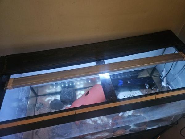 Image 1 of Fluval roma 240l tank with accessories