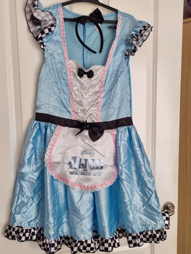 Adult ladies cosplay costumes — photo 3 of 3