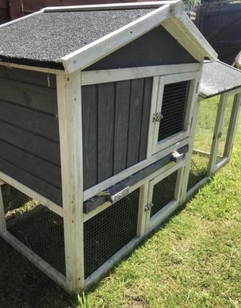 Image 2 of 2 year old Guinea pig boy with outdoor and indoor house