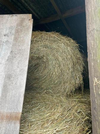 Image 2 of Hay for sale large round bales