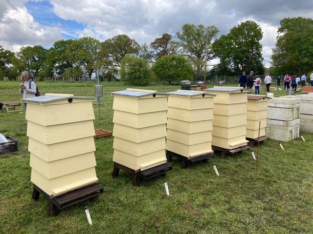 Preview of the first image of WBC Beehives Fully Refurbished..