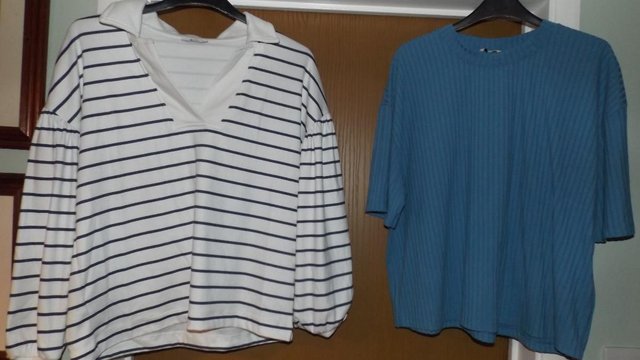 Image 2 of Two Tops (downsizing all my clothes)