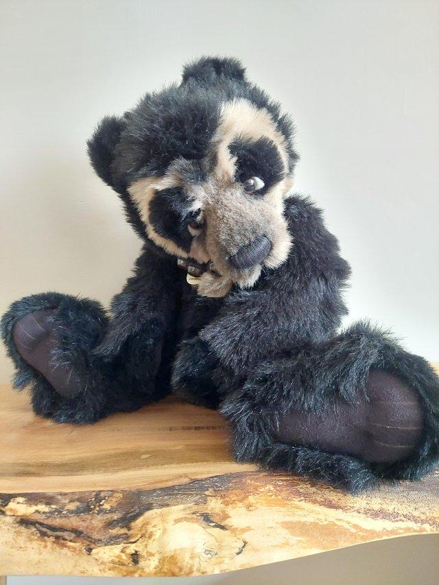 Preview of the first image of Charlie bear "Shades" plush bear.