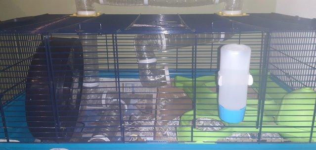 Image 4 of 2 Savic Hamster Heaven cages plus extras, for sale