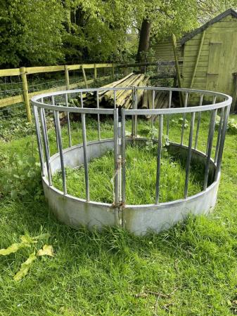 Image 3 of Sheep/ goat galvanised steel ring feeder