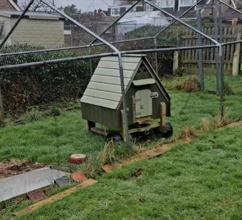 Image 5 of Huge chicken coop 10ft x 20ft - And chicken house