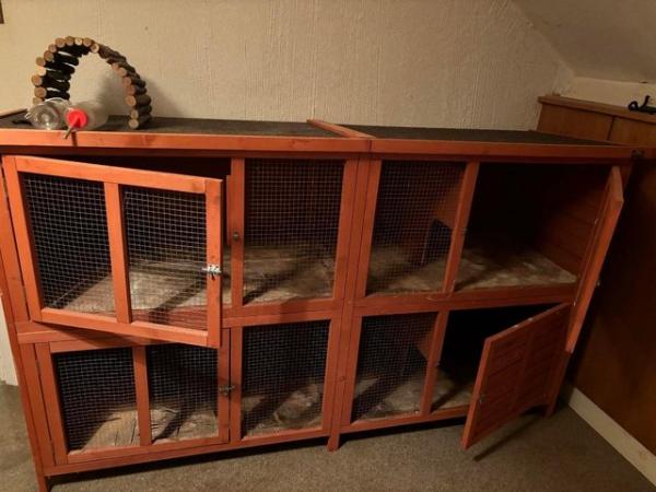 Image 2 of Large rabbit/Guinea pig outdoor or indoor hutch