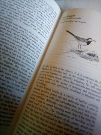 Image 2 of Birds of Buckinghamshire, hardback with cover