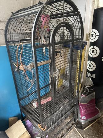 Image 3 of Budgie and parrot cages