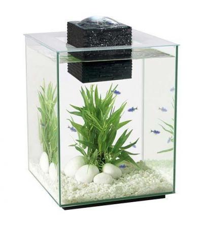 Image 5 of Fish Tanks Available At The Marp Centre