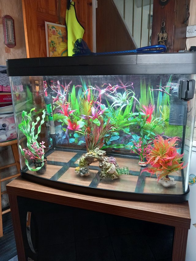 Preview of the first image of FISH TANK WITH CABINET AND EQUIPMENT.