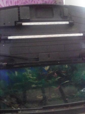 Image 2 of Two foot tropical fish tank free to any one