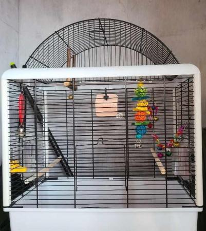 Image 2 of Budgie Cage with all accesories