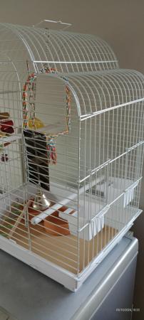 Image 2 of Bird cage, suitable for cockatiel