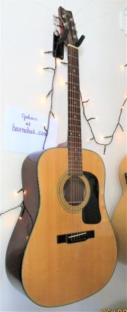 Image 7 of WASHBURN D10Acoustic Guitar. New Quality strings used in S