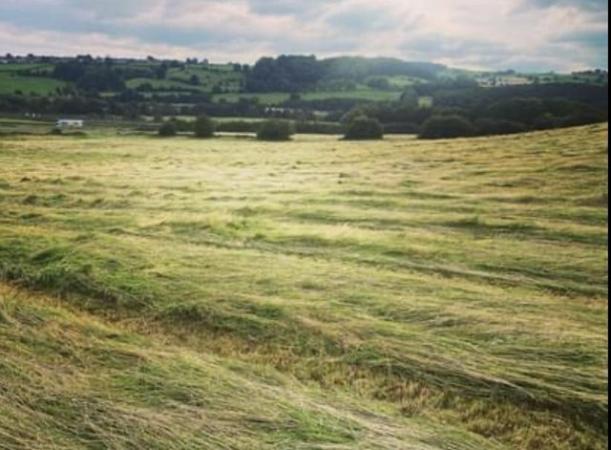 Image 1 of Good Quality Meadow Hay for sale