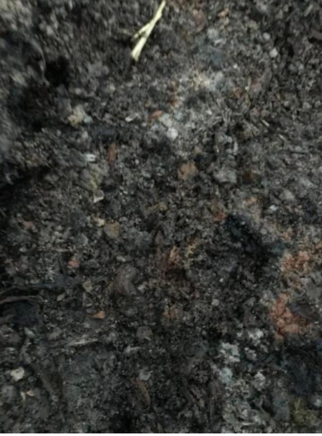 Preview of the first image of Horse & Sheep Manure, Well Rotted.