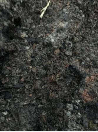 Image 1 of Horse & Sheep Manure, Well Rotted