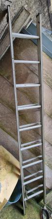 Image 1 of Double 9 rung aluminium ladders