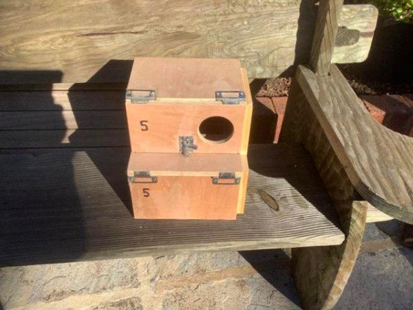Image 6 of Nest Boxes for Love Birds or Small Parrots