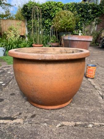 Image 2 of Terracotta garden plant pot