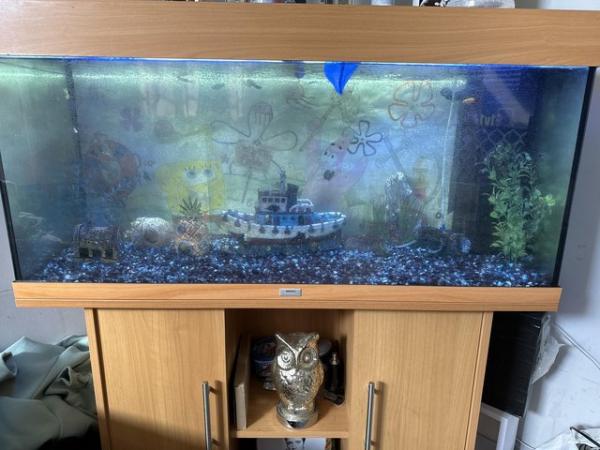 Image 4 of 240ltr fish tank aquarium