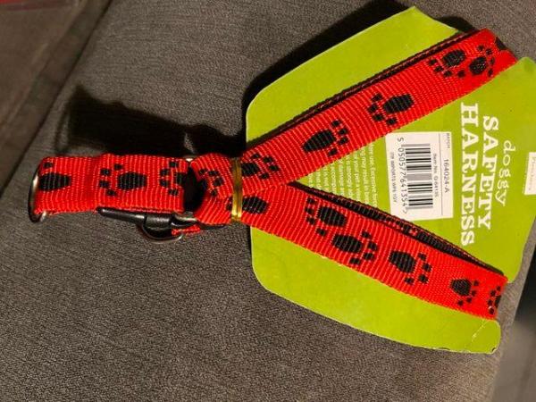 Image 3 of Dog harness one red and four purple for dogs up to 10kg