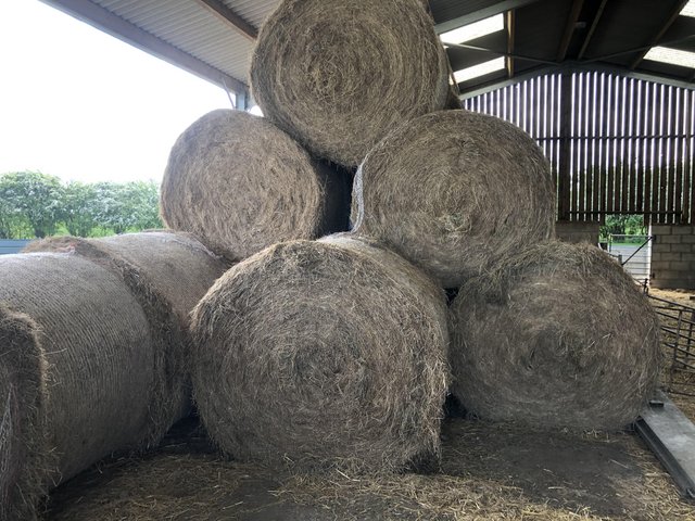 Preview of the first image of 5ft round hay bales for sale.