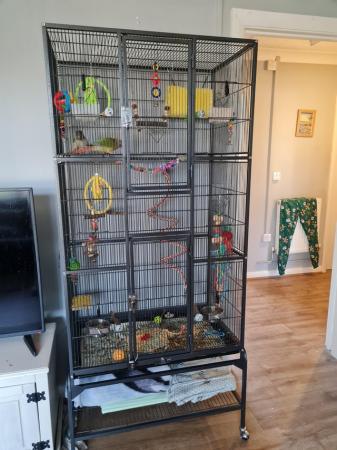Image 1 of Large bird cage and stand few months old.