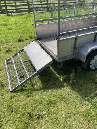 Image 4 of Solid Twin wheeled galvanised meshed trailer