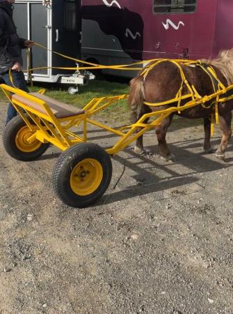 Image 2 of Pony Driving Cart and Harness