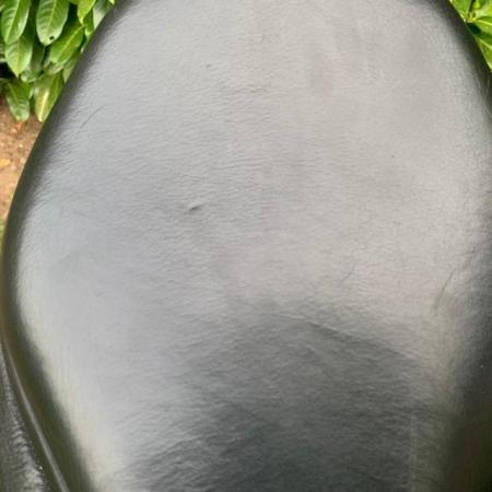 Image 6 of Bates All Purpose Luxe 17" GP saddle (S3142)