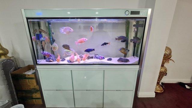 Image 1 of 5ft fishtank comes with everything