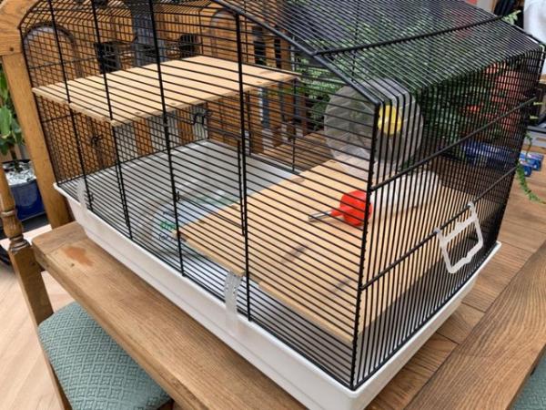 Image 4 of Hamster Roborovski/Mini/Dwarf large pet cage