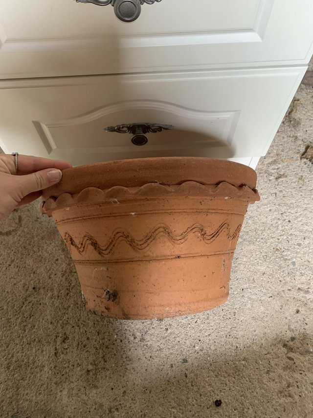 Preview of the first image of FREE Terracotta pot for garden, outdoor.