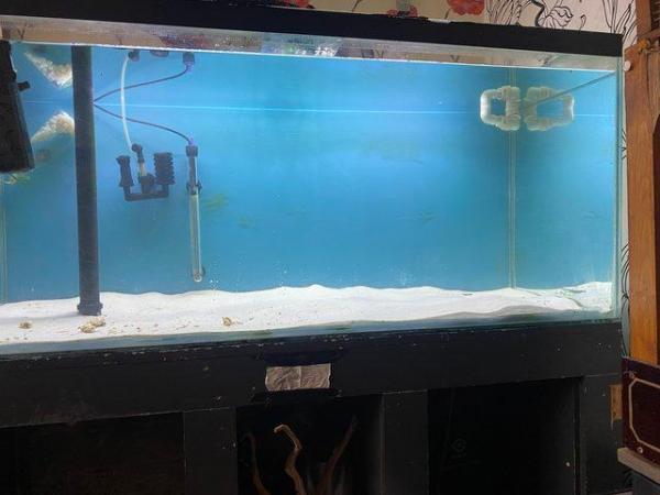 Image 4 of Sumptank with stand 4and half foot long