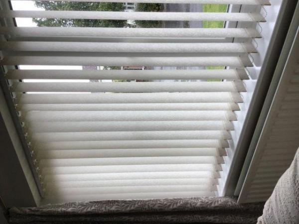 Image 3 of Vertical Blinds in Neutral Shade
