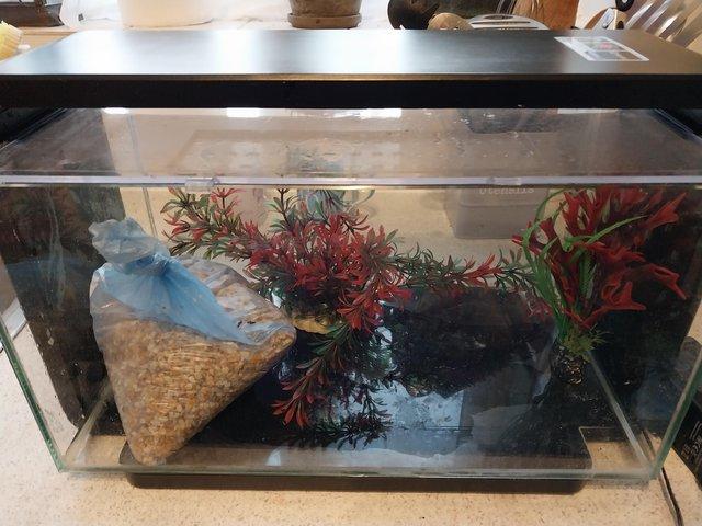 Preview of the first image of Complete 25litre Fish tank.