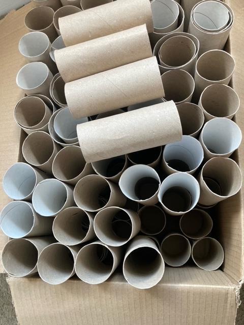 Preview of the first image of Cardboard, toilet roll inners for gardening, crafts or pets..