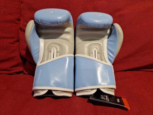 Preview of the first image of Boxing - RIVAL RPM7 FITNESS PUNCH MITTS &  GLOVES.