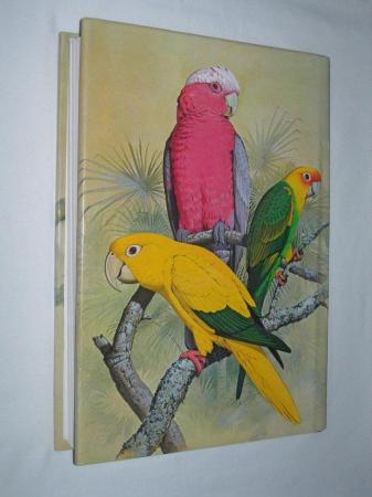 Image 4 of PARROTS OF THE WORLD BIRD BOOK