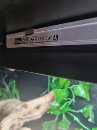Image 6 of 2 x leopard geckos and full set up