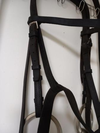 Image 2 of Leather pony bridle for sale