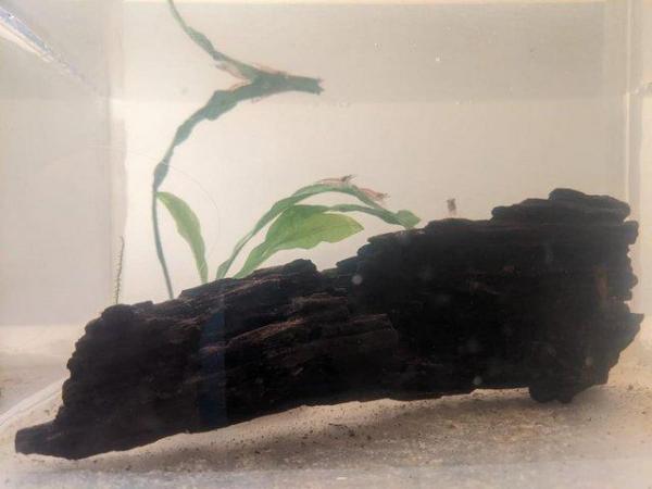 Image 2 of Nano Aquarium Fish Shrimp Tank