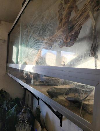 Image 4 of Large reptile vivarium  for sale