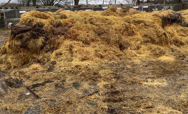 Image 1 of Free Farm Yard Muck free delivery 5 miles CO6 4JP