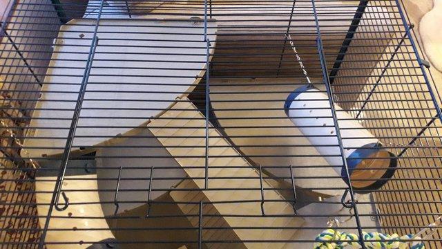 Image 3 of Furet XL Ferplast cage for rats